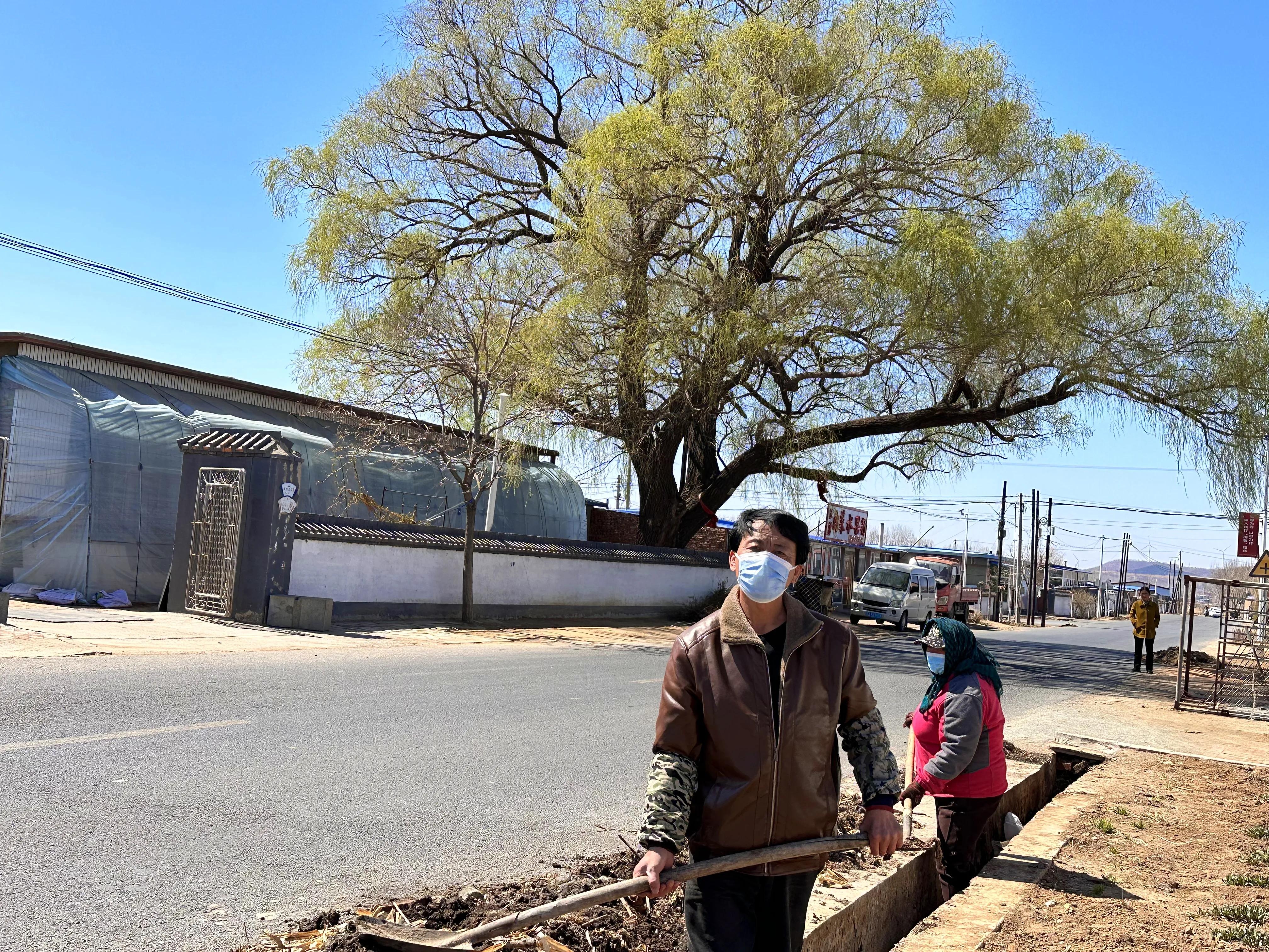法库县环境整治“动起来”，乡村颜值“靓起来”(图1)