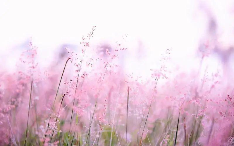 美食之旅，一日三餐的唯美句子(图2)