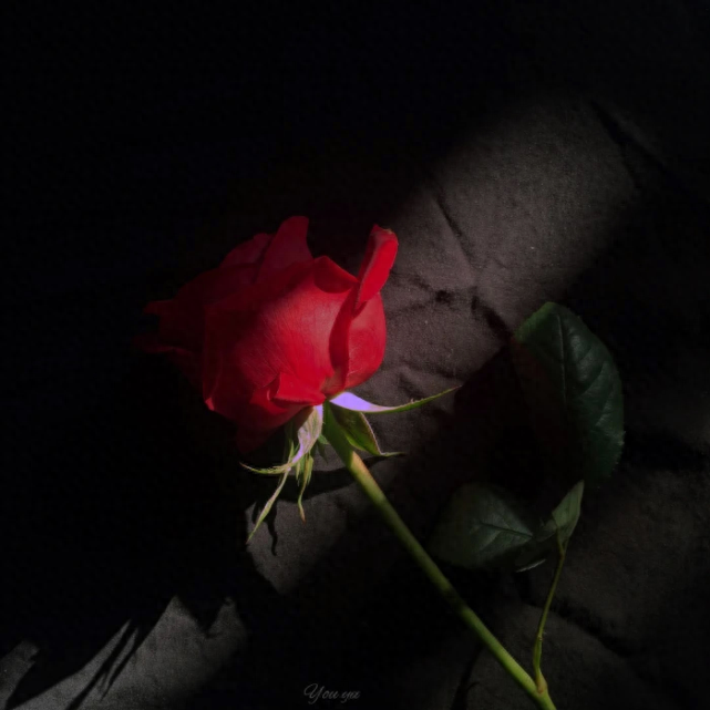 小说中让你感到惊艳的男主语录(图2)