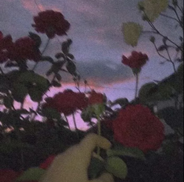 小说中让你感到惊艳的男主语录(图5)