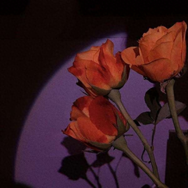 小说中让你感到惊艳的男主语录(图7)