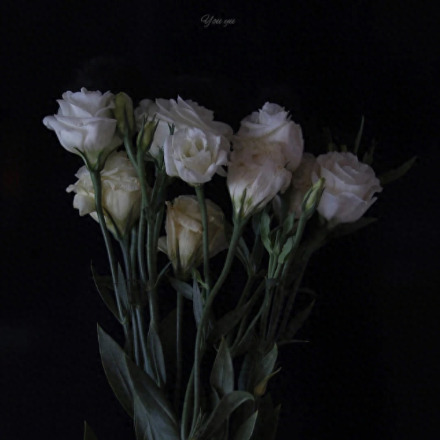 小说中让你感到惊艳的男主语录(图8)