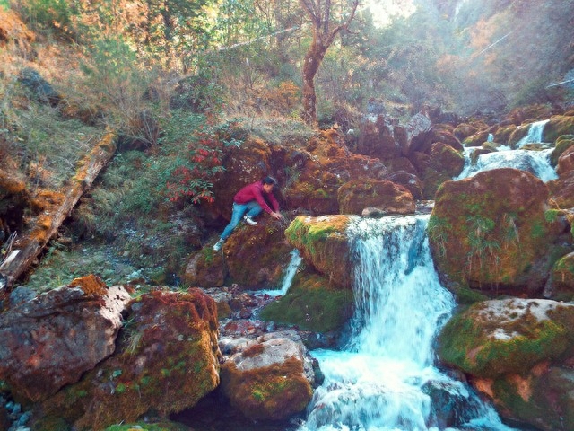 致自己的句子(图4)