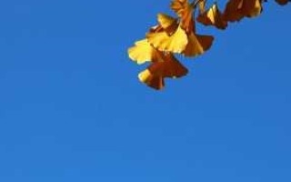 生活的苦我经历了很多，现在只想岁月静好(图1)