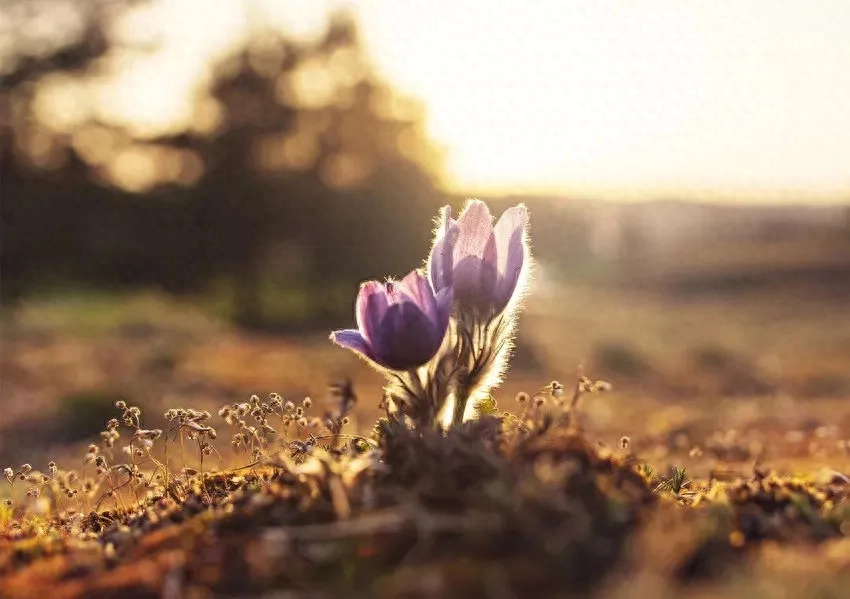 余华最深刻的8句话，治愈所有迷茫(图2)