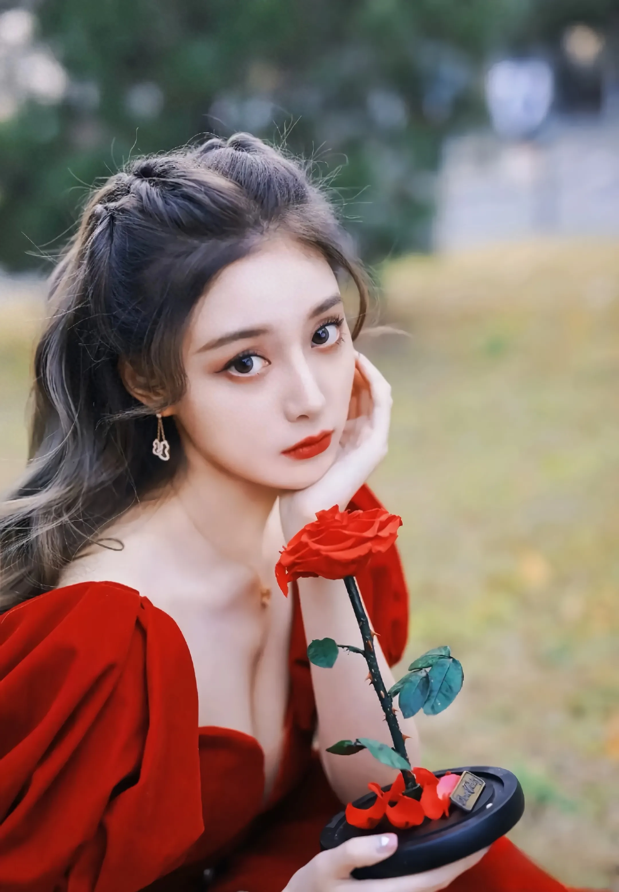 唯美写真：红玫瑰，捧在手掌，感受温柔的触感(图1)