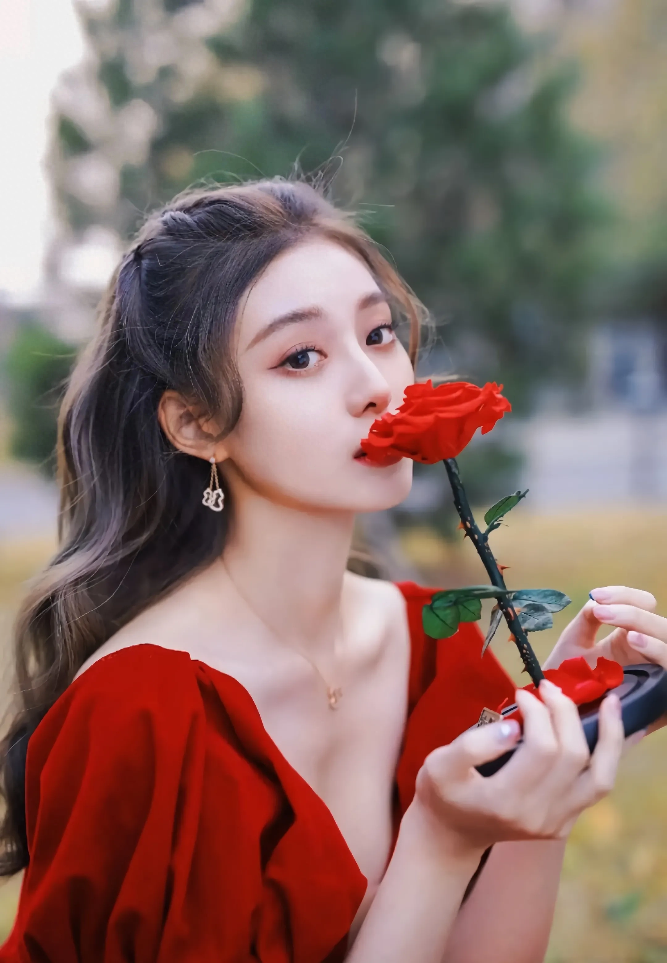 唯美写真：红玫瑰，捧在手掌，感受温柔的触感(图2)