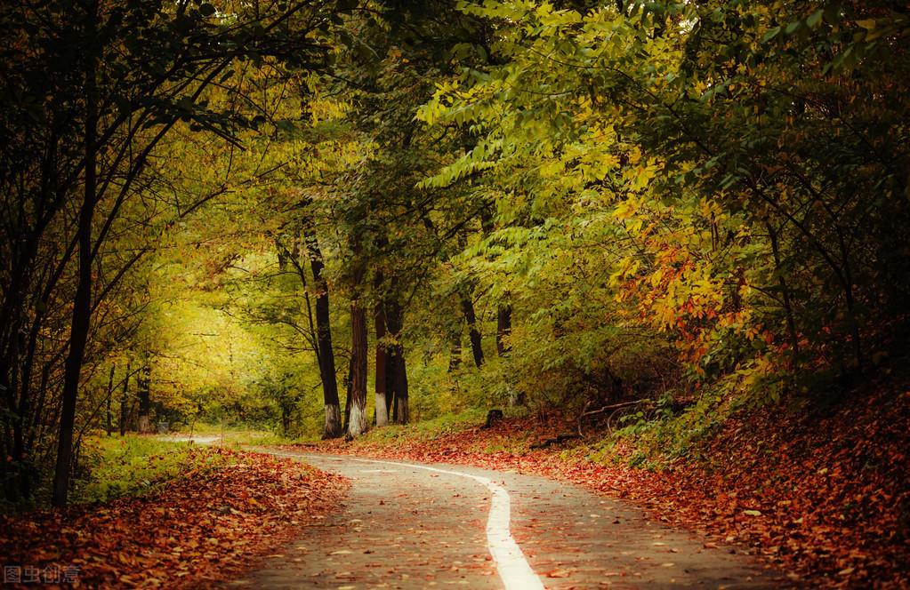 飞花令——路(图1)