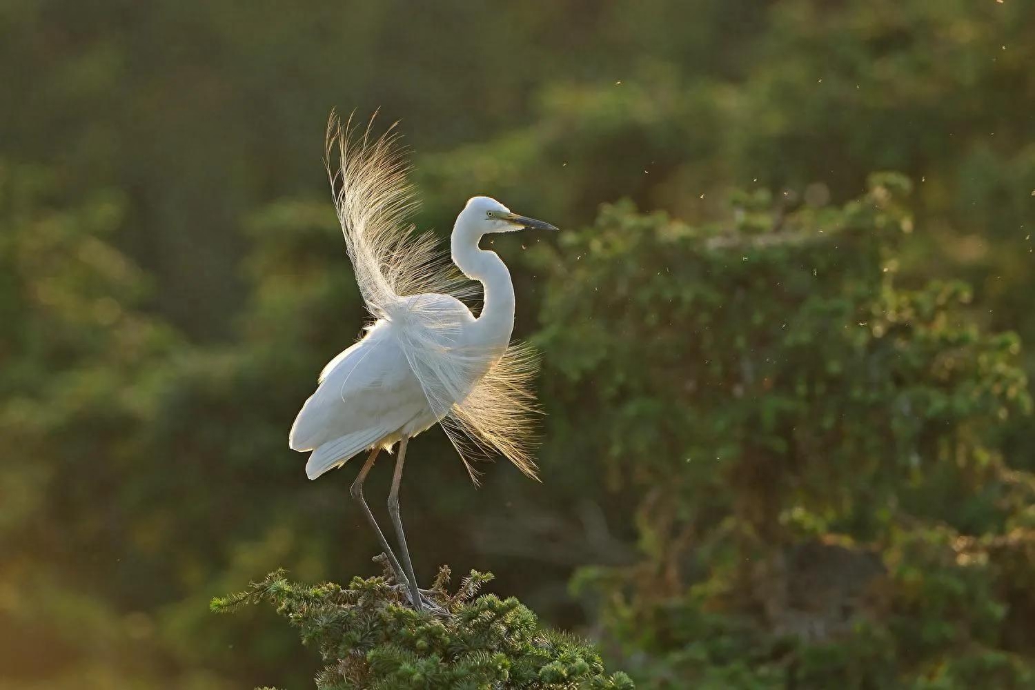 好玩对联第一百二十三回（长安史记）(图5)