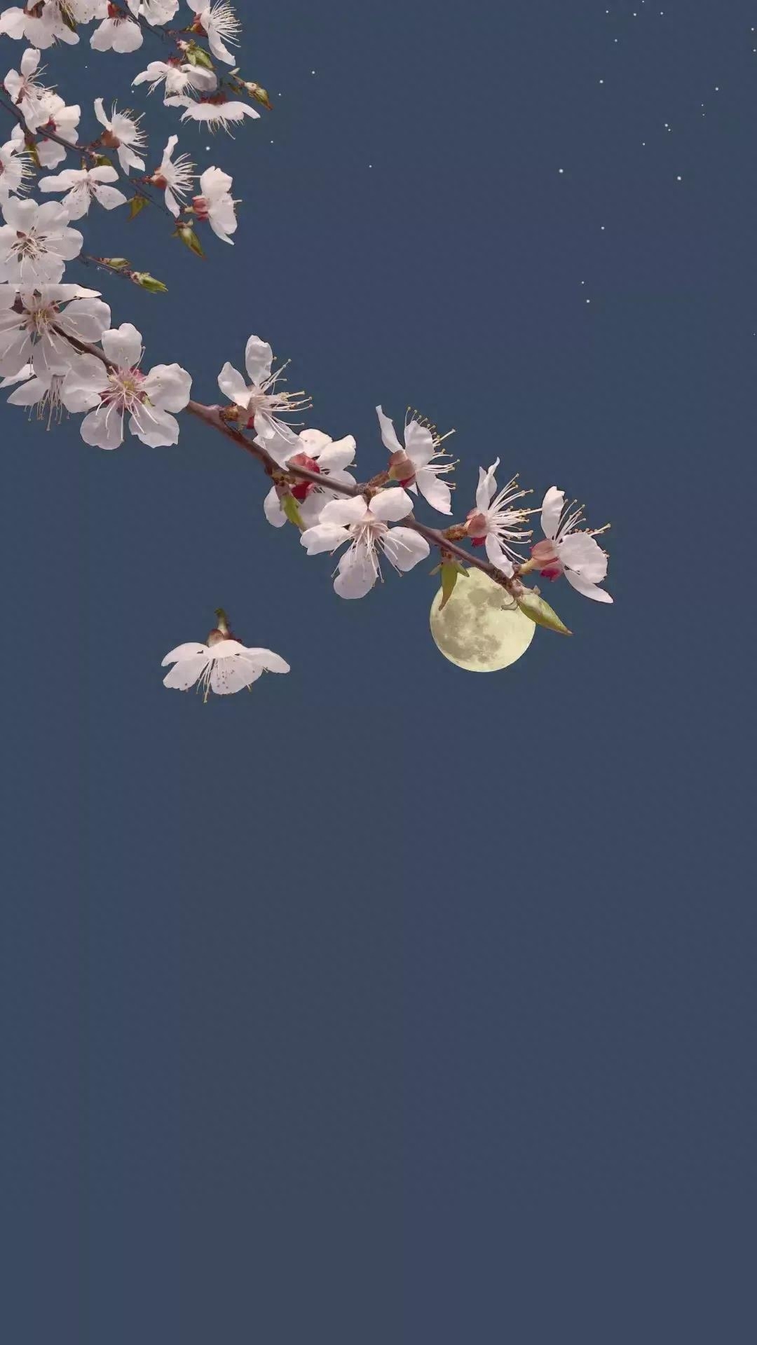 好玩对联第一百二十三回（长安史记）(图6)