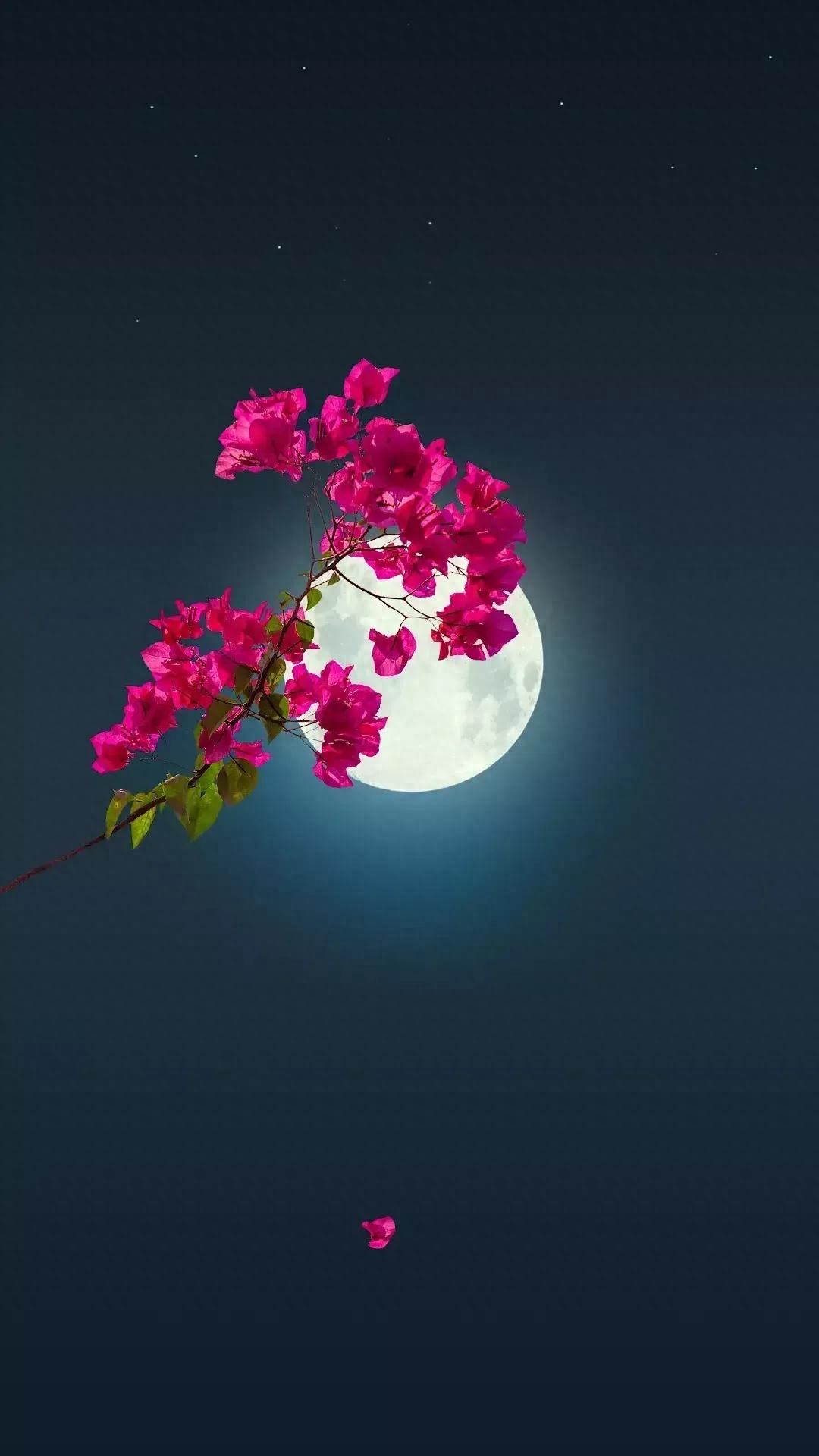 好玩对联第一百二十三回（长安史记）(图8)