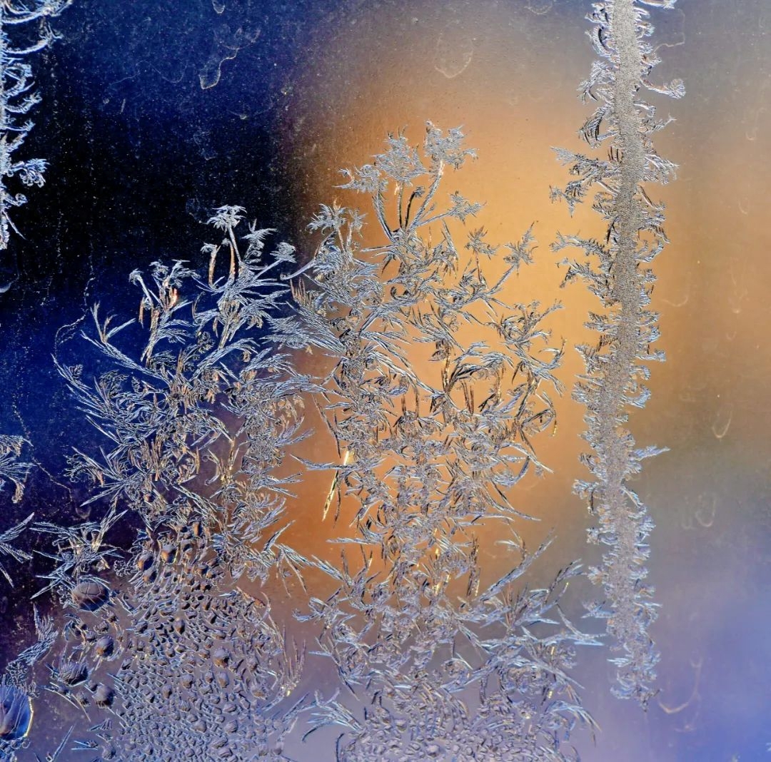 人生最好的境界，是内心丰富的安静(图2)