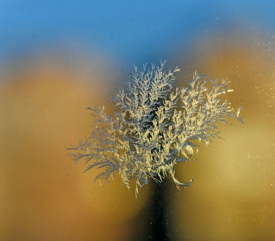 人生最好的境界，是内心丰富的安静(图4)