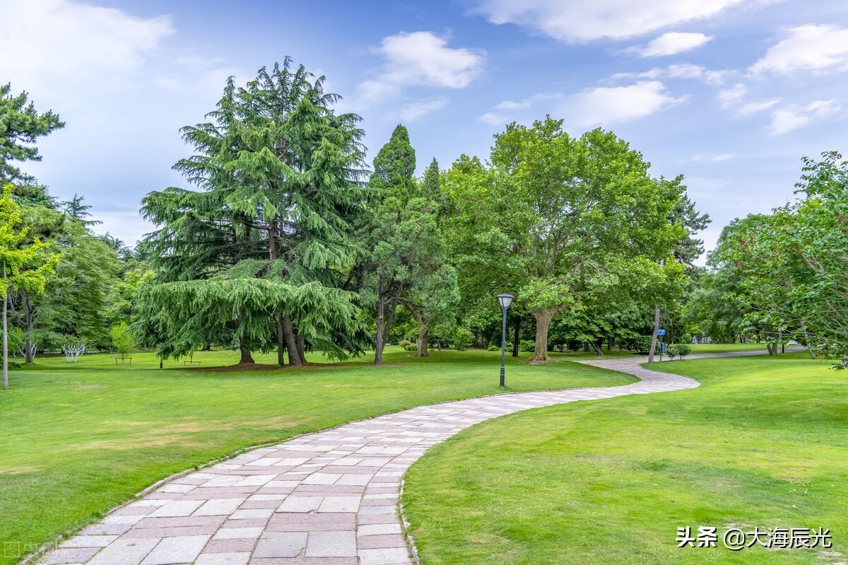 绿意、花芳，凉风，美好的盛夏时光(图3)