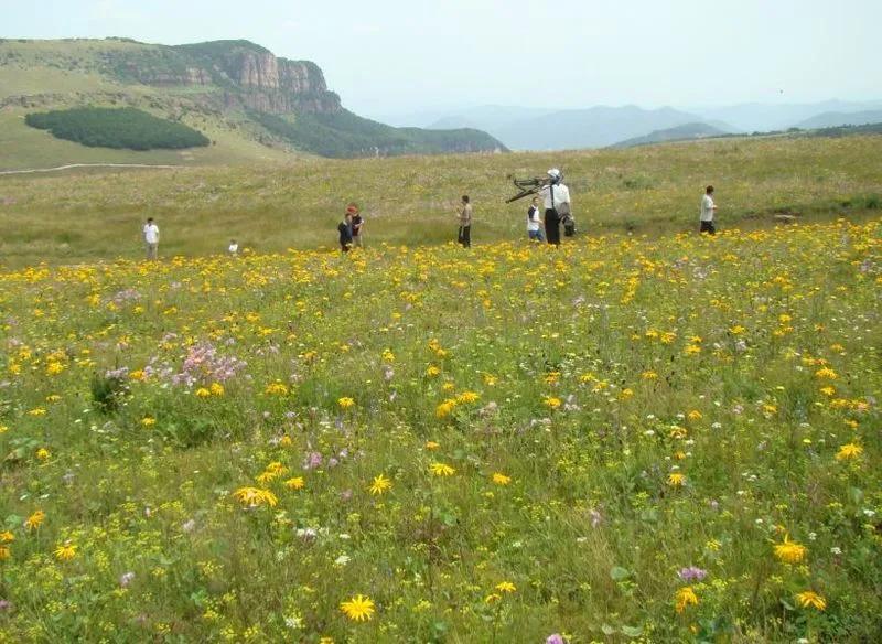 写给2021年后半年以来失业、待岗在家的人(图1)