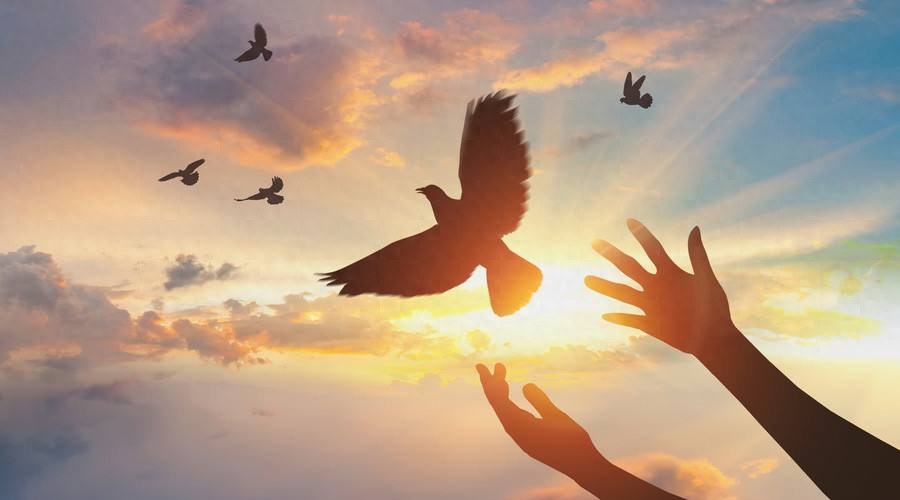 不想上班的时候劝劝自己，裸辞和失业没你想象的那么爽(图5)