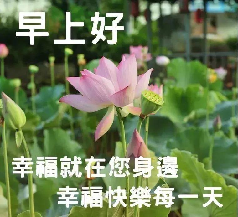 激励自己奋斗的正能量心情说说，努力向上的人生感悟励志句子(图3)