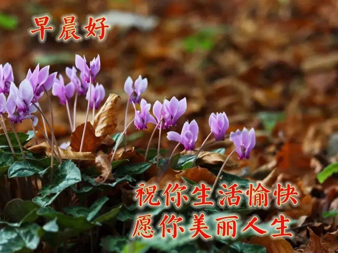 激励自己奋斗的正能量心情说说，努力向上的人生感悟励志句子(图5)