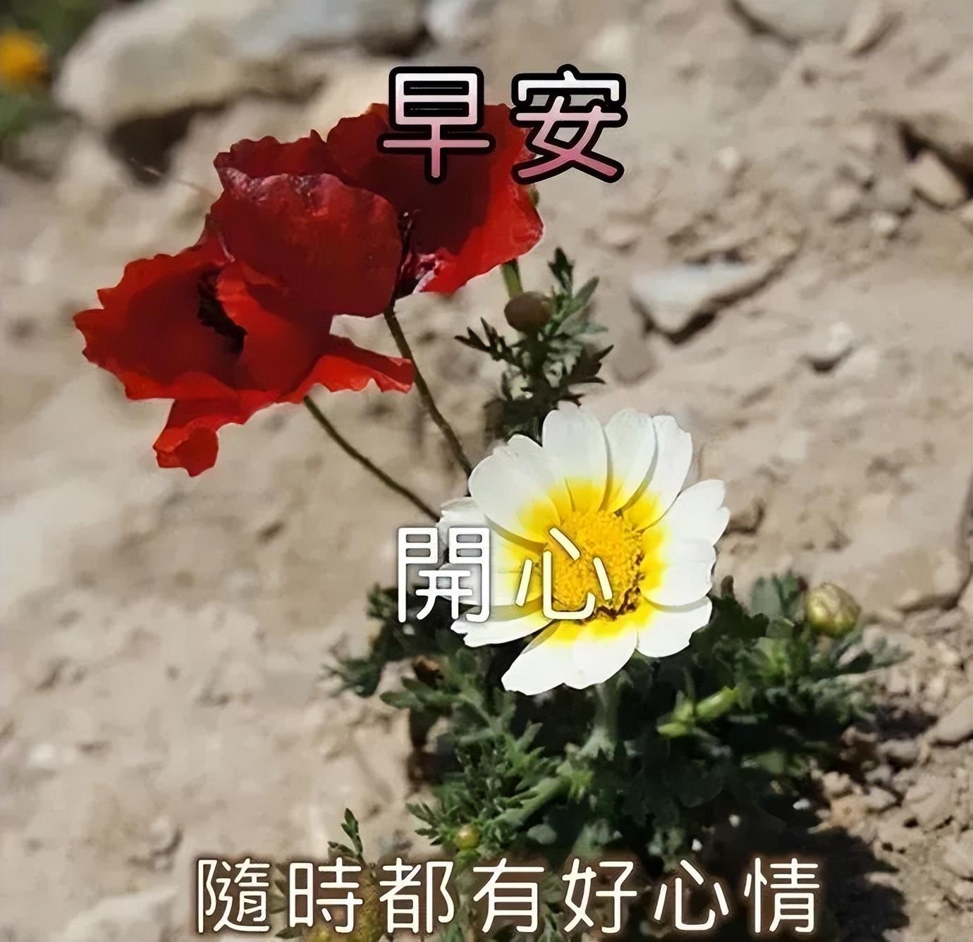 激励自己奋斗的正能量心情说说，努力向上的人生感悟励志句子(图8)