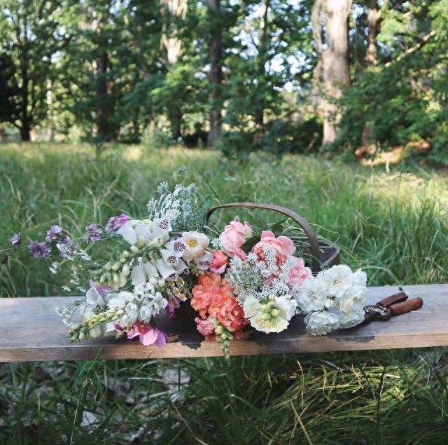 唯美优秀的句子，不要期望太多，意外的惊喜，总好过无边的失望(图1)