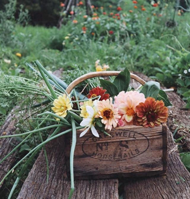 唯美优秀的句子，不要期望太多，意外的惊喜，总好过无边的失望(图2)