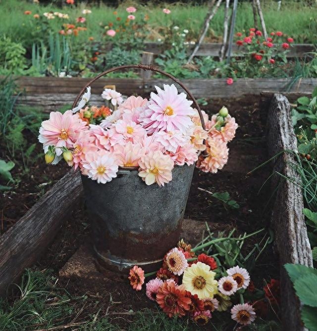 唯美优秀的句子，不要期望太多，意外的惊喜，总好过无边的失望(图3)