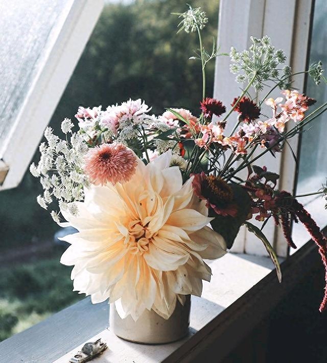 唯美优秀的句子，不要期望太多，意外的惊喜，总好过无边的失望(图4)