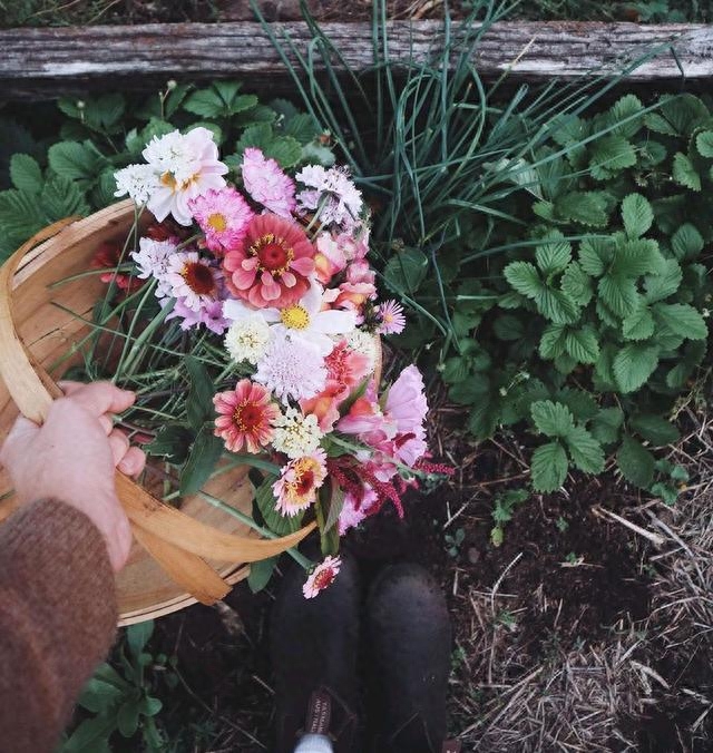 唯美优秀的句子，不要期望太多，意外的惊喜，总好过无边的失望(图5)