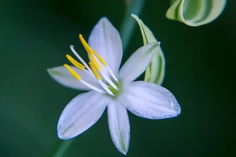 珍惜当下，享受生命的美好(图1)