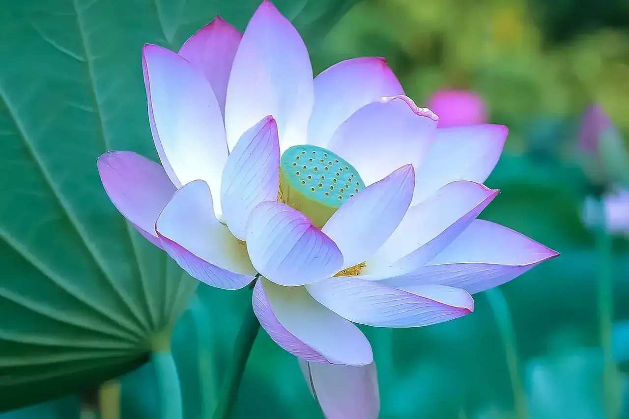 珍惜当下，享受生命的美好(图2)