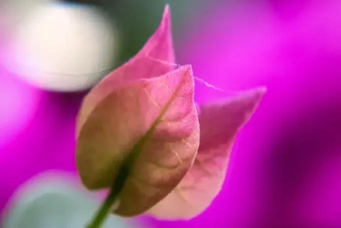 珍惜当下，享受生命的美好(图4)