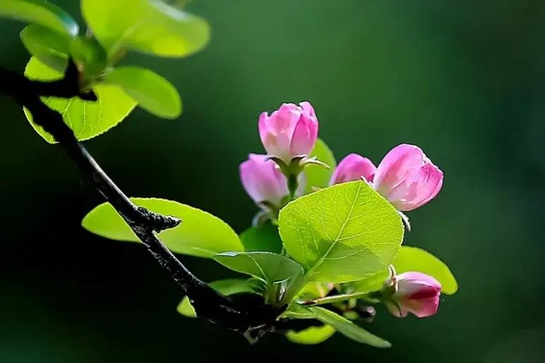 珍惜当下，享受生命的美好(图6)