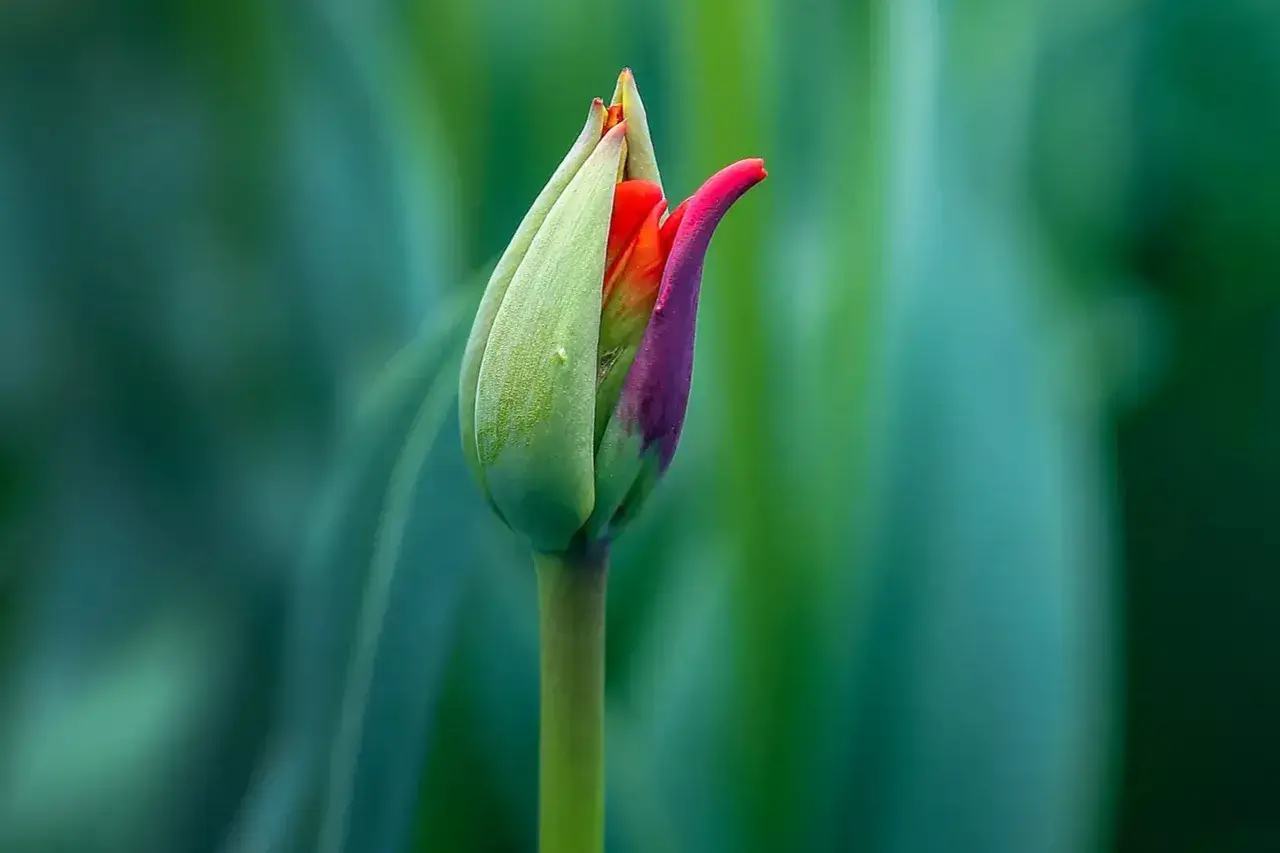 珍惜当下，享受生命的美好(图7)