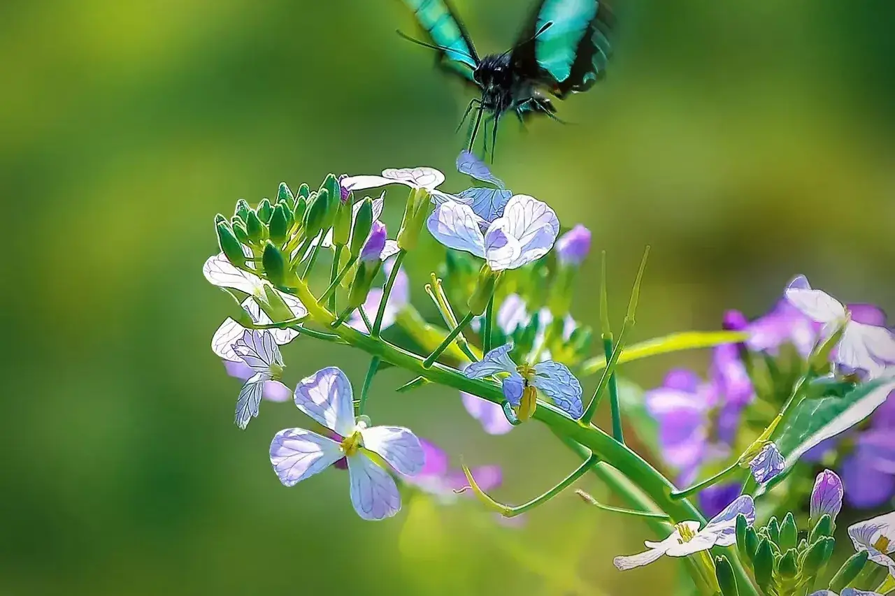 珍惜当下，享受生命的美好(图8)