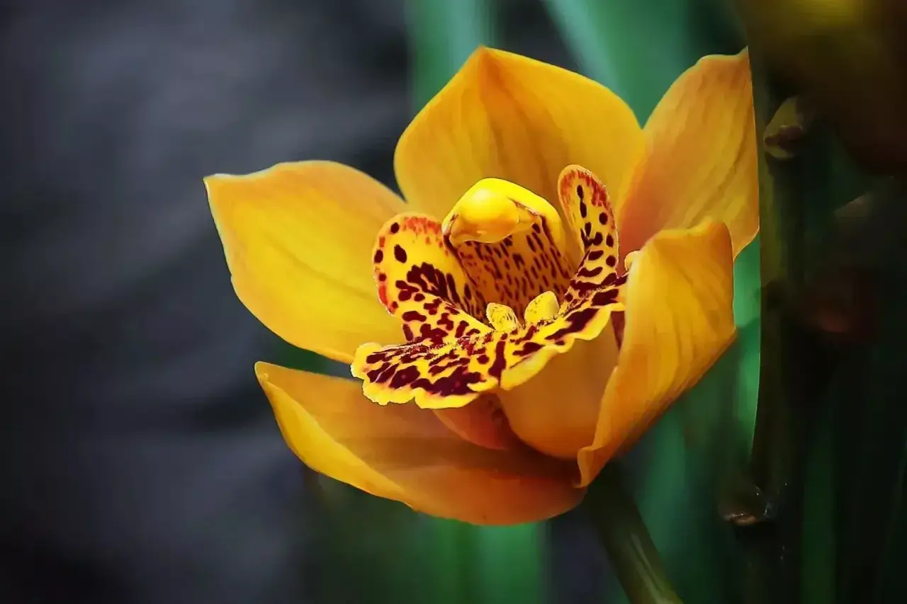 珍惜当下，享受生命的美好(图9)