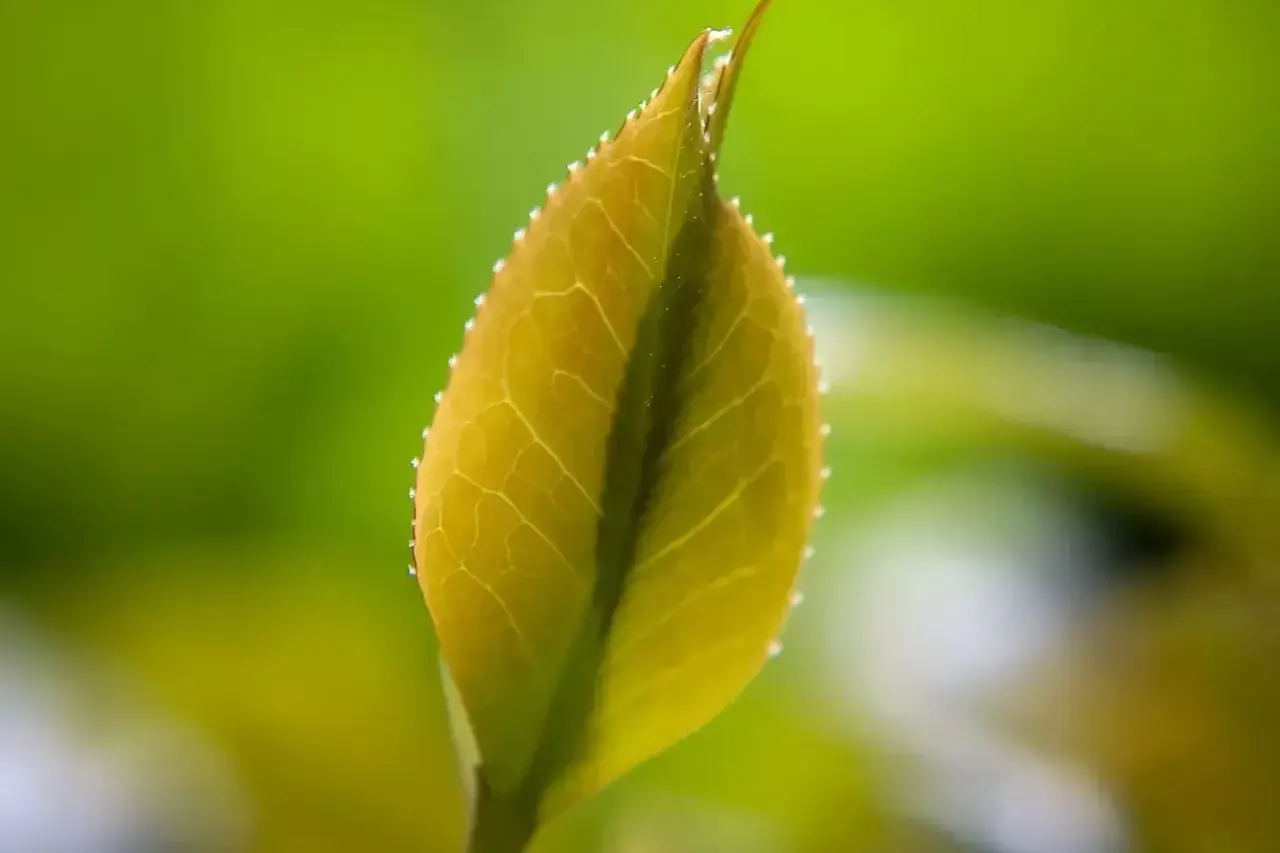 珍惜当下，享受生命的美好(图10)