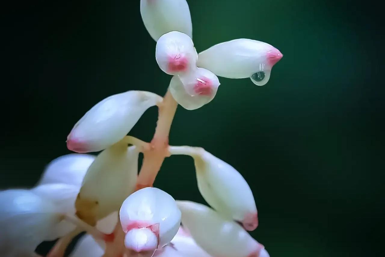 珍惜当下，享受生命的美好(图11)