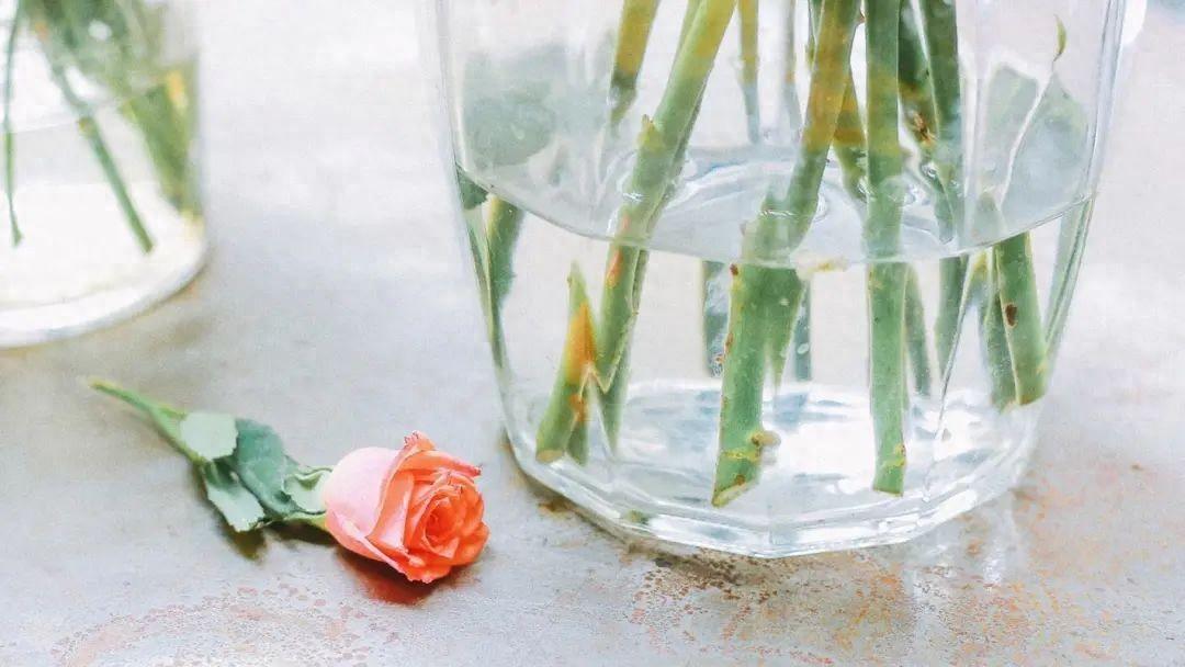 新征程新起航的励志句子：追逐梦想，新征程的启航(图1)