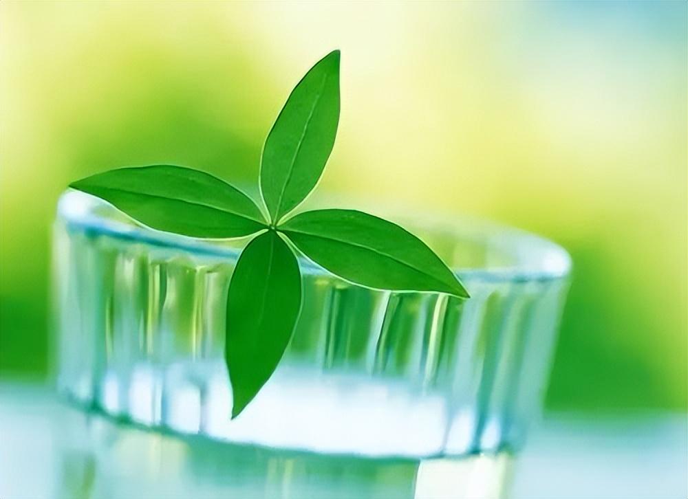 新征程新起航的励志句子：追逐梦想，新征程的启航(图2)