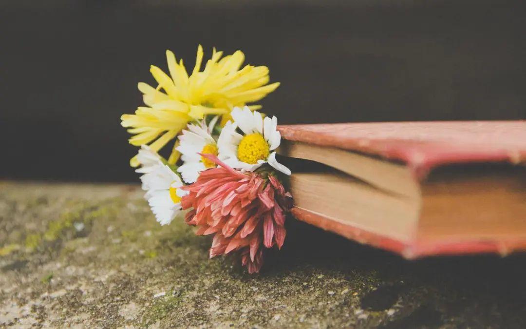 新征程新起航的励志句子：追逐梦想，新征程的启航(图5)