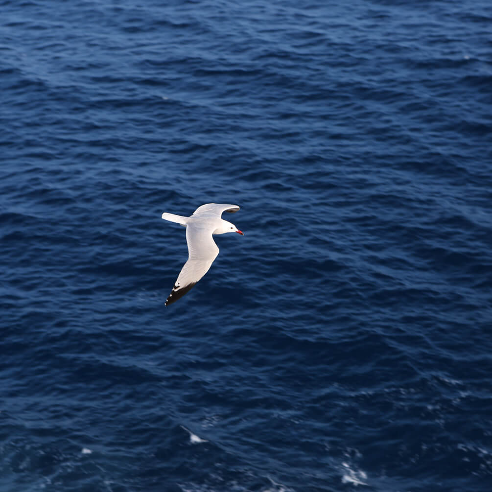 能给作文加分的名言名句！！！(图3)