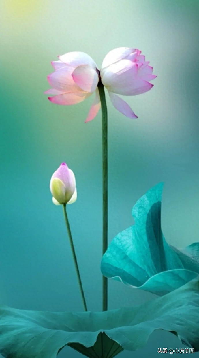 朋友圈阳光句子文案：携着满满自信善良，在岁月长河里乘风破浪(图12)