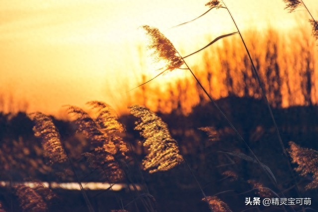 人生百年路漫漫，青春岁月到夕阳(图5)