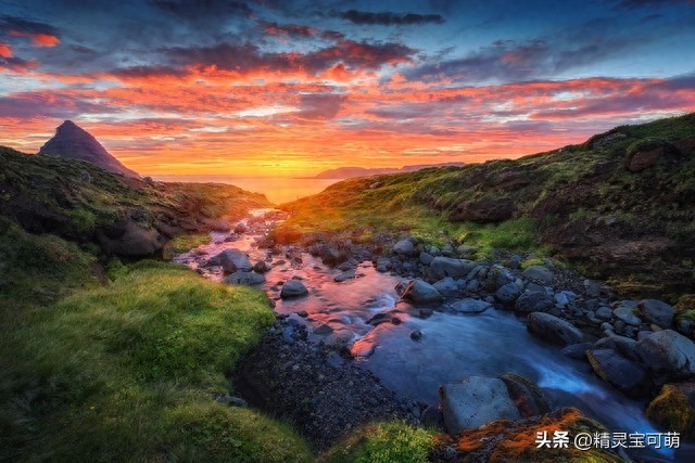 人生百年路漫漫，青春岁月到夕阳(图6)