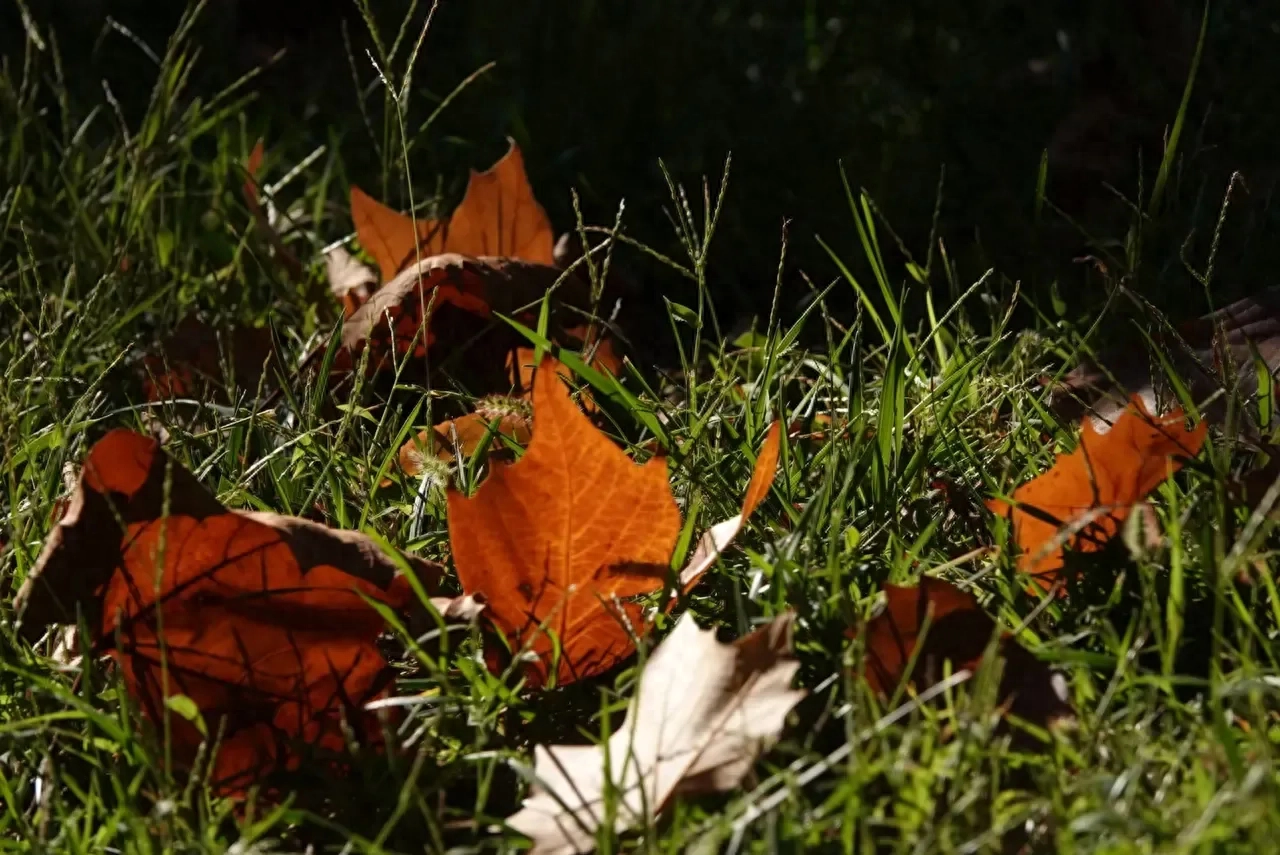 岁月长河中的微笑遇见：岁月留白中的疼爱与收藏(图2)