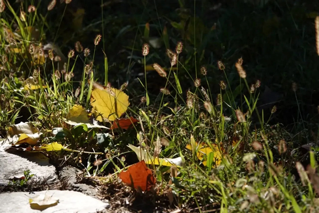 岁月长河中的微笑遇见：岁月留白中的疼爱与收藏(图3)