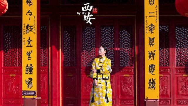 繁华未央,迷失在千年古都的夜色中(图23) 繁华未央,迷失在千年古都的夜色中(图23)