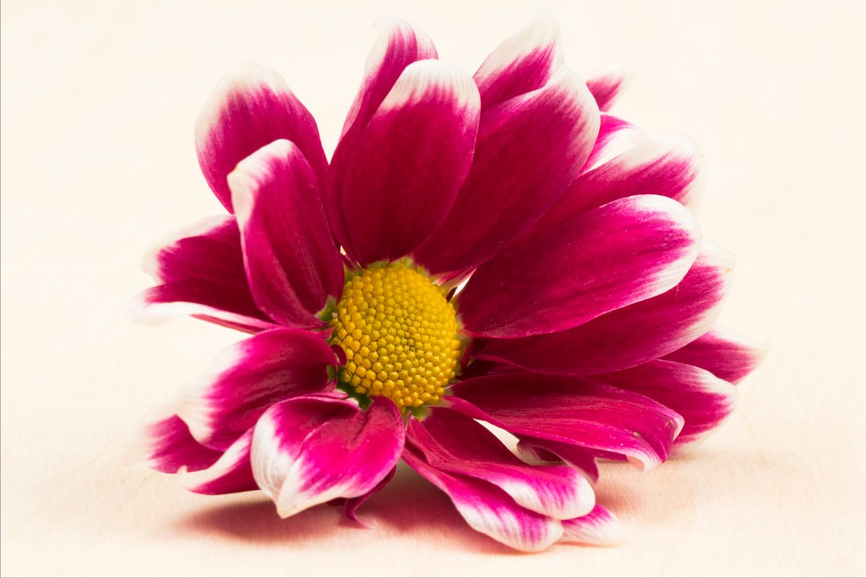 有些路，注定要孤身一人独行(图1)