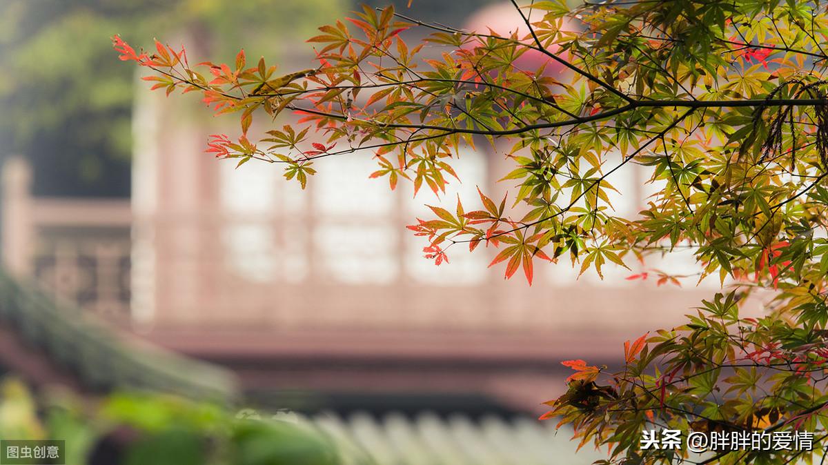 走散的，都是过眼风景；留下的，才是入心感情(图2)