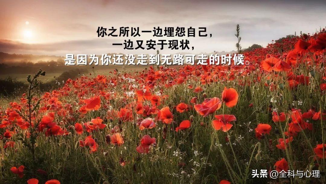 朋友圈早上自我激励的励志句子 句句充满哲理(图2)